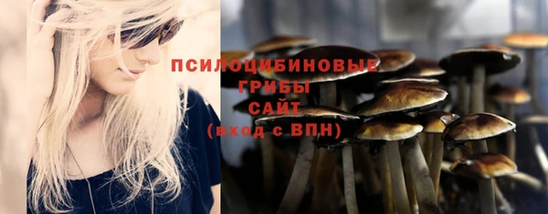 дмт Алексин